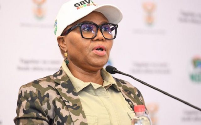 Lindiwe Zulu Biography: Age, Net Worth, Husband, Twitter, Married, Speech Today, Qualifications, Contact Details, Pictures