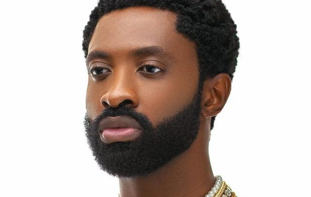 Ric Hassani Biography: Songs, Age, Girlfriend, Net Worth, Wife, Record Label, State Of Origin, Wikipedia