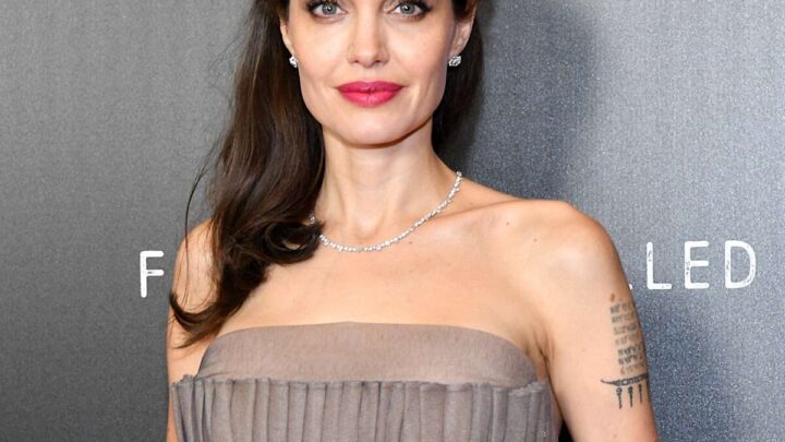 Angelina Jolie Biography: Net Worth, Husband, Age, Movies, Kids, Height, Children, Wikipedia, Instagram, Brother, Daughter