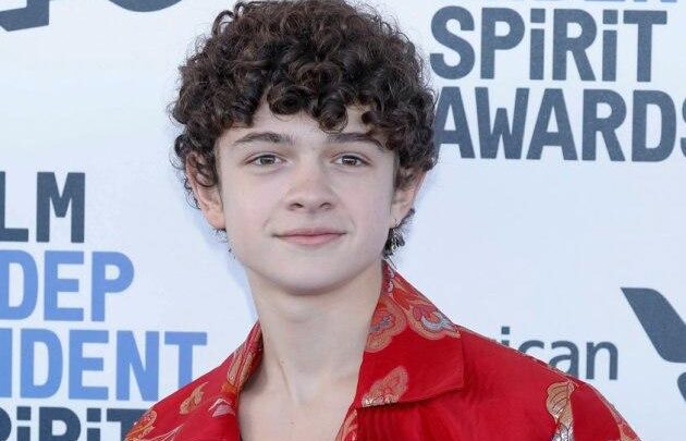 Noah Jupe Biography: Age, Height, Parents, Net Worth, Movies, Instagram, Girlfriend, TV Shows, Interview, Siblings, Stranger Things, Wikipedia