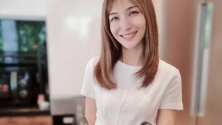 Vivian Lai Biography: Age, House, Daughter, Net Worth, Instagram, Movies, TV Shows, Husband, Songs