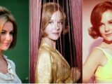 Shelley Fabares Biography: Songs, Age, Children, Net Worth, Husband, Hair, Photos, Height, Still Alive?